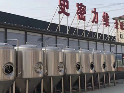宁县精酿啤酒设备厂—如何判断精酿啤酒设备的密封件需要更换？